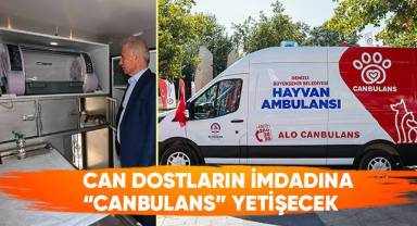 Büyükşehir’den Can Dostlara Özel Hayvan Ambulansı
