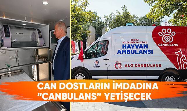 Büyükşehir’den Can Dostlara Özel Hayvan Ambulansı