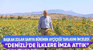 Büyükşehir destekleriyle ekilen ayçiçekler hasat için gün sayıyor