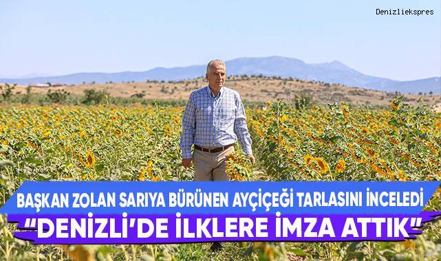 Büyükşehir destekleriyle ekilen ayçiçekler hasat için gün sayıyor