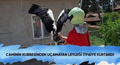 Caminin kubbesinden uçamayan leyleği itfaiye kurtardı
