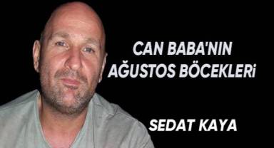 CAN BABA'NIN AĞUSTOS BÖCEKLERİ