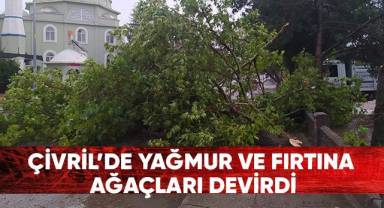 Çivril'de yağmur ve fırtına ağaçları devirdi
