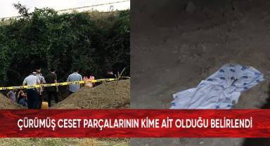 Çürümüş ceset parçalarının kime ait olduğunu belirledi