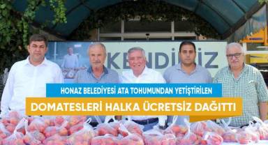 Honaz Belediyesi ata tohumundan yetiştirilen domatesleri halka ücretsiz dağıttı