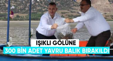 Işıklı Gölüne 300 bin adet yavru balık bırakıldı