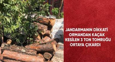 Jandarmanın dikkati ormandan kaçak kesilen 3 ton tomruğu ortaya çıkardı