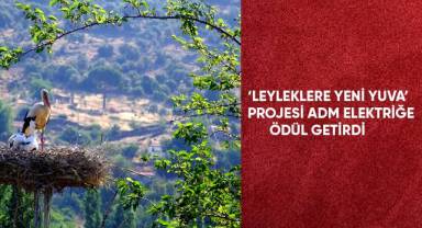 ‘Leyleklere Yeni Yuva’ porjesi ADM Elektriğe ödül getirdi