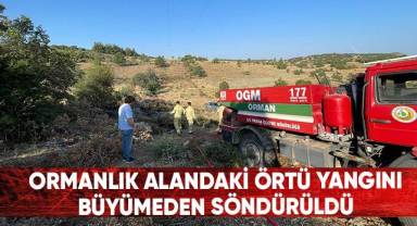 Ormanlık alandaki örtü yangını büyümeden söndürüldü