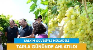 Salkım güvesiyle mücadele tarla gününde anlatıldı