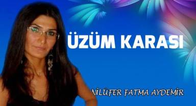 Üzüm Karası
