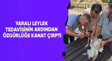 Yaralı leylek tedavisinin ardından özgürlüğe kanat çırptı