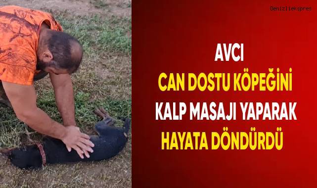AVCI CAN DOSTU KÖPEĞİNİ KALP MASAJI YAPARAK HAYATA DÖNDÜRDÜ