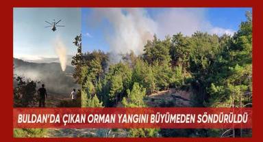 Buldan'da çıkan orman yangını büyümeden söndürüldü