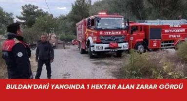 Buldan'daki yangında 1 hektar alan zarar gördü