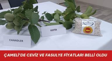 Çameli’de ceviz ve fasulye fiyatları belli oldu