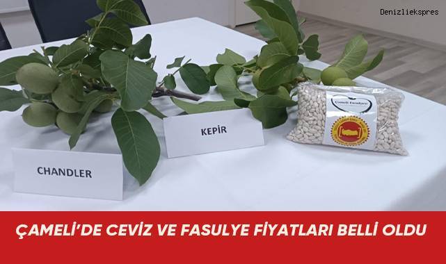 Çameli’de ceviz ve fasulye fiyatları belli oldu