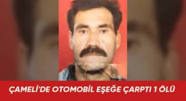ÇAMELİ'DE OTOMOBİL EŞEĞE ÇARPTI 1 ÖLÜ