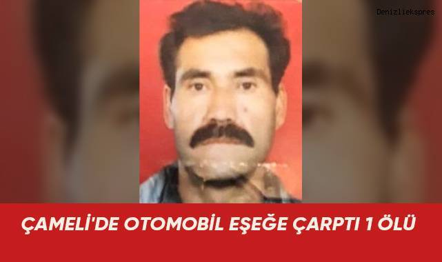 ÇAMELİ'DE OTOMOBİL EŞEĞE ÇARPTI 1 ÖLÜ