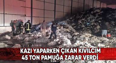 Çırçır fabrikasında çıkan yangında 45 ton pamuk yandı