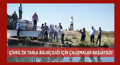 Çivril’de tarla balıkçılığı için çalışmalar başlatıldı