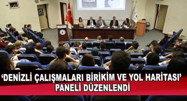 ‘Denizli Çalışmaları Birikim Ve Yol Haritası’ Paneli Düzenlendi