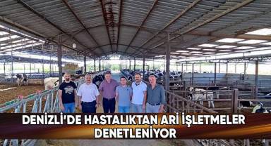 Denizli’de hastalıktan ari işletmeler denetleniyor