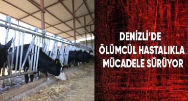 Denizli’de ölümcül hastalıkla mücadele sürüyor