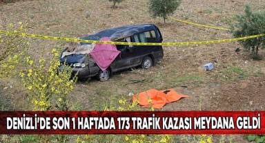 Denizli'de son 1 haftada 173 trafik kazası meydana geldi