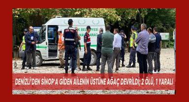 Denizli’den Sinop’a gezmeye giden ailenin üzerine ağaç devrildi: 2 ölü, 1 yaralı
