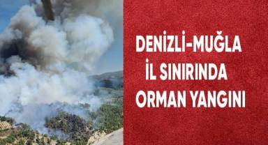Denizli - Muğla il sınırında orman yangını
