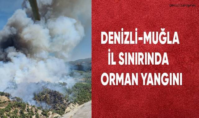 Denizli - Muğla il sınırında orman yangını
