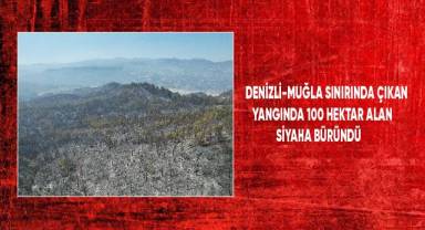 Denizli - Muğla sınırında çıkan yangında 100 hektar alan siyaha büründü