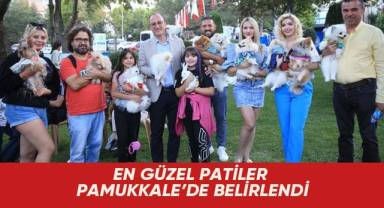 En güzel patiler Pamukkale'de belirlendi
