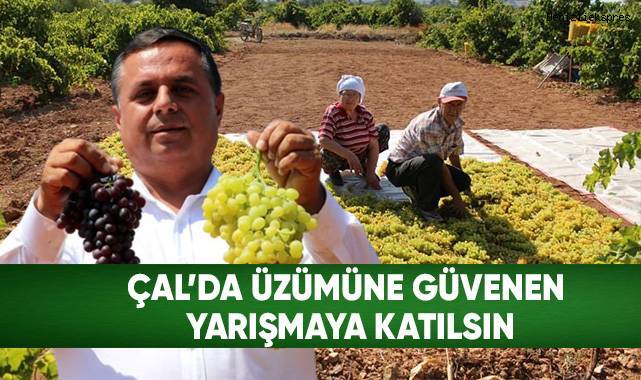En İyi Üzümü Yetiştirenler Altını Kapacak