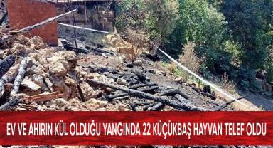 Ev ve ahırın kül olduğu yangında 22 küçükbaş hayvan telef oldu