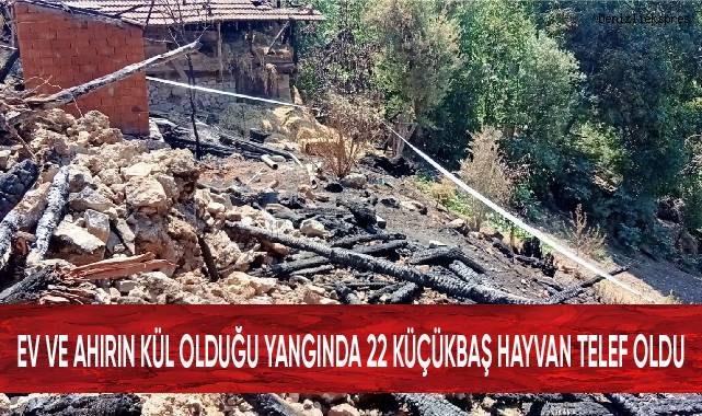 Ev ve ahırın kül olduğu yangında 22 küçükbaş hayvan telef oldu