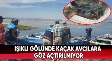 Işıklı Gölünde kaçak avcılara göz açtırılmıyor