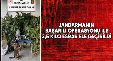 Jandarmanın başarılı operasyonu ile 2,5 kilo esrar ele geçirildi
