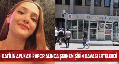 Katilin avukatı rapor alınca Şebnem Şirin davası ertelendi