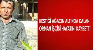 Kestiği ağacın altında kalan orman işçisi hayatını kaybetti