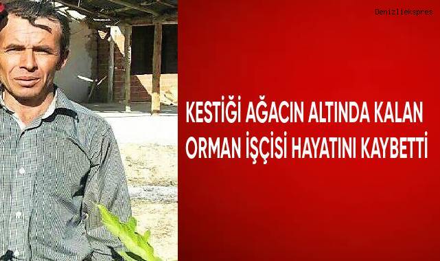 Kestiği ağacın altında kalan orman işçisi hayatını kaybetti