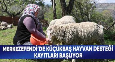 Merkezefendi'de Küçükbaş Hayvan Desteği Kayıtları Başlıyor