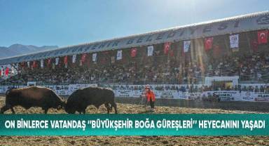 Onbinlerce vatandaş “Büyükşehir Boğa Güreşleri” heyecanını yaşadı