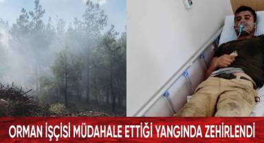 Orman işçisi müdahale ettiği yangında zehirlendi