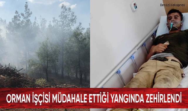 Orman işçisi müdahale ettiği yangında zehirlendi