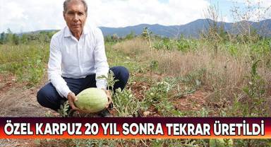 Özel karpuz 20 yıl sonra tekrar üretildi
