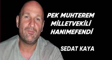 PEK MUHTEREM MİLLETVEKİLİ HANIMEFENDİ.