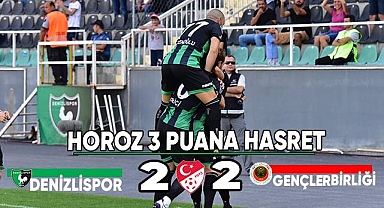 Spor Toto 1. Lig: Denizlispor: 2 - Gençlerbirliği: 2