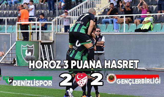 Spor Toto 1. Lig: Denizlispor: 2 - Gençlerbirliği: 2